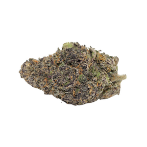 Black Domina // OZ Special