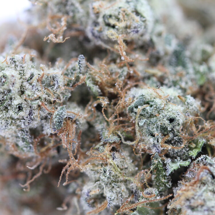 Pineapple Express // OZ Special