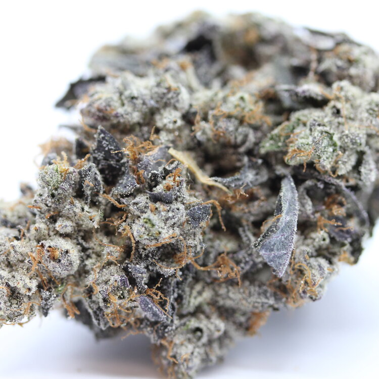 Gas Monkey // OZ Special