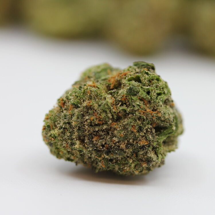 Popcorn Rogue OG // OZ Super Saver Special