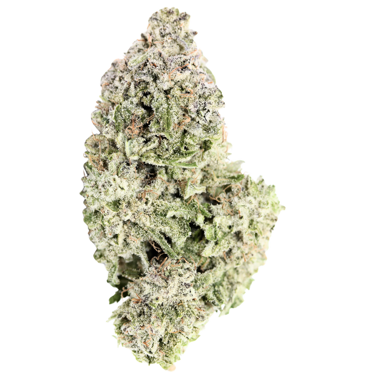 Lemon Diesel // OZ Special