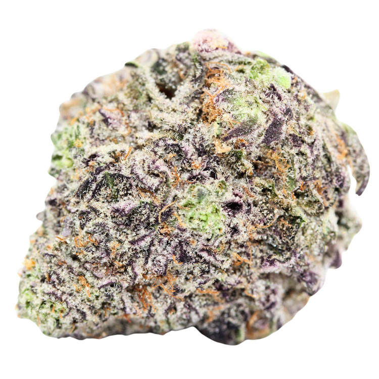 Maui // OZ Super Saver Special