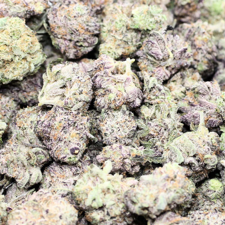 Maui // OZ Super Saver Special