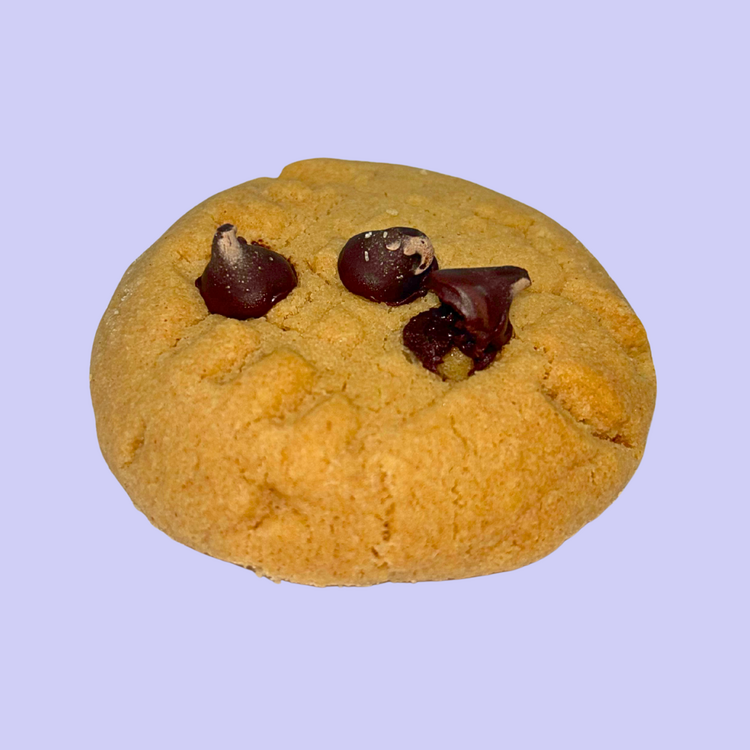 Stepping Stone Holistic Living SSHL Chocolate Chip & Peanut Butter Cookie - 400mg THC