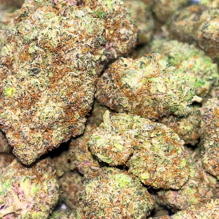 Snow White // OZ Special