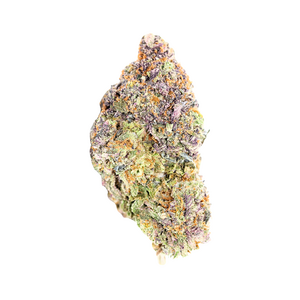 Jungle Mints // OZ Special