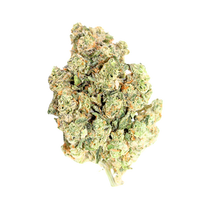 Bubblegum // OZ Special