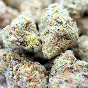 Sour Tangie // OZ Special