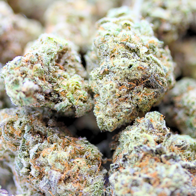 Sour Tangie // OZ Special