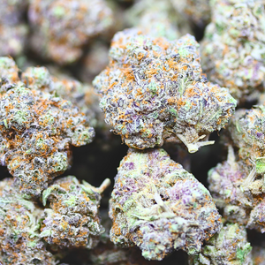 Sugar Plum // OZ Special