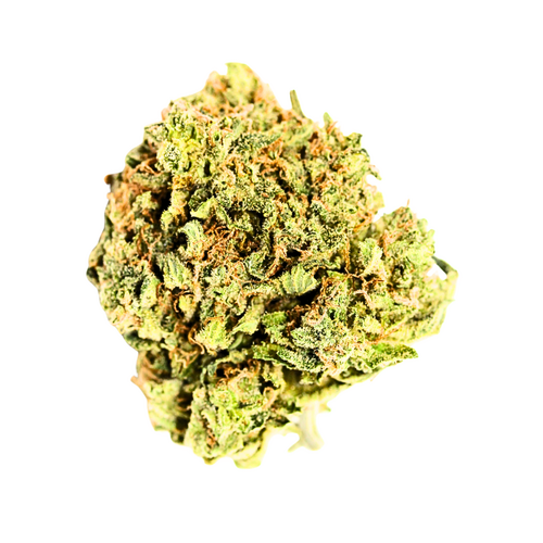 Strawberry Diesel // OZ Special