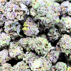 Tom Ford  Small Buds // OZ Super Saver Special