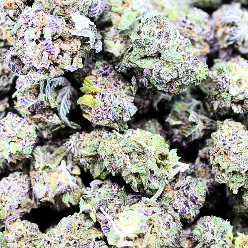 Tom Ford  Small Buds // OZ Super Saver Special