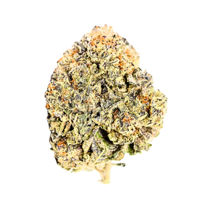 Mac Daddy // OZ Special