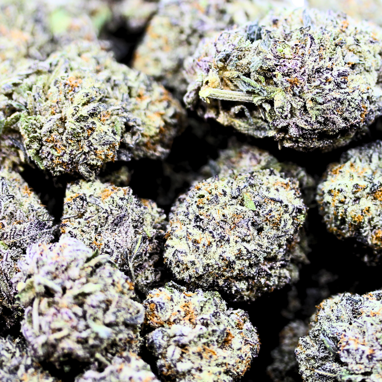 Mac Daddy // OZ Special