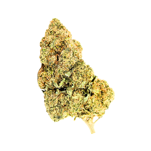 Grapefruit // OZ Special