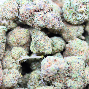 Grapefruit // OZ Special