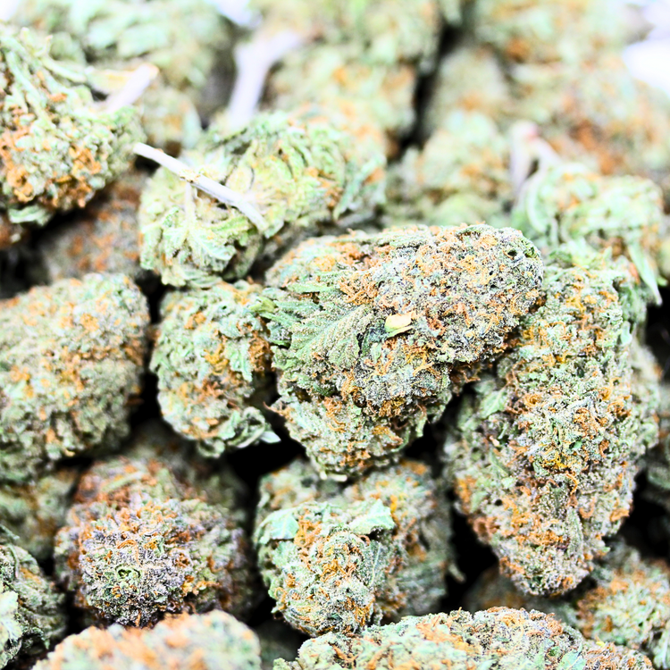 Nuken // OZ Super Saver Special