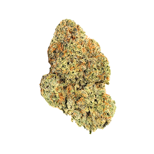 Grey Goose // OZ Special