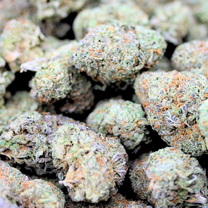 Grey Goose // OZ Special