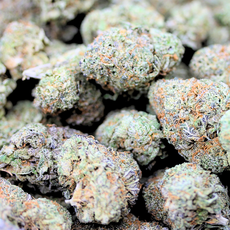 Grey Goose // OZ Special