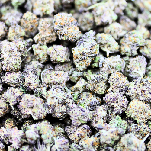 Popcorn Biscotti // OZ Special