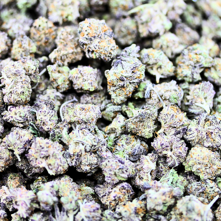 Popcorn Biscotti // OZ Special