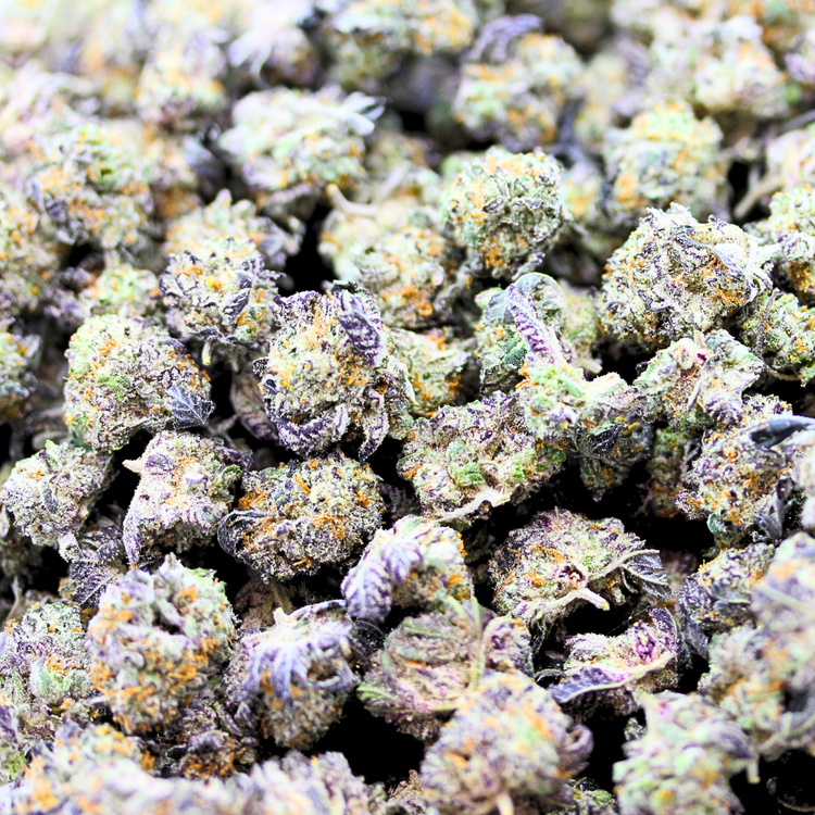 Popcorn Gorilla Glue #5 // OZ Special