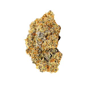 Biscotti // OZ Special