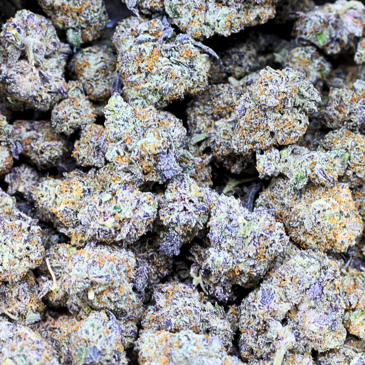 Biscotti