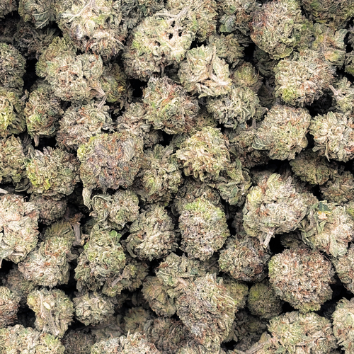 Popcorn MKU // OZ Super Saver Special