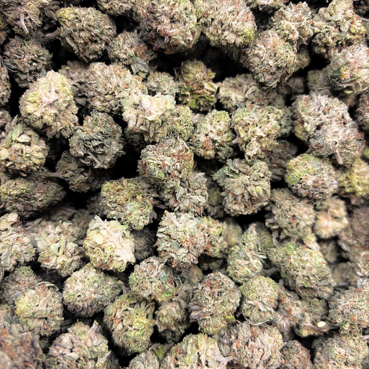 Popcorn MKU // OZ Super Saver Special