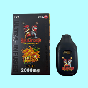 Blasted Blasted — Liquid Diamonds & Shatter Disposable Vape — 2g (# E - R)
