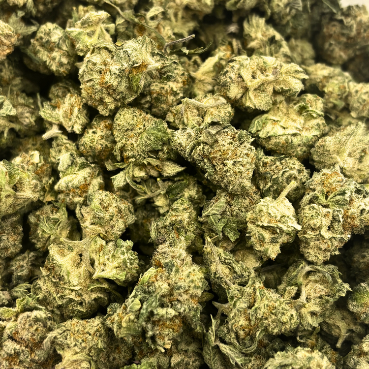 Popcorn Grey Goose // OZ Special