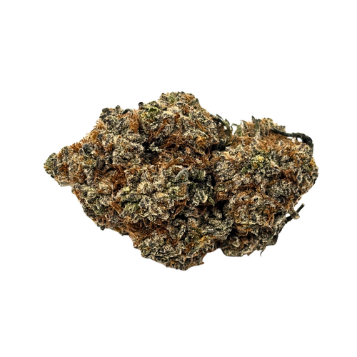 Sundae Driver // OZ Special