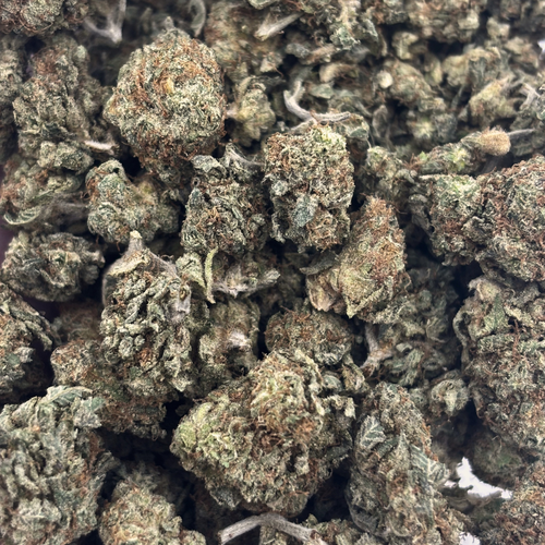 Sour Tangie // OZ Special