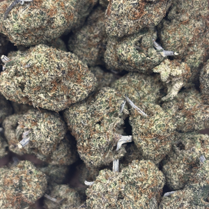 Double OG // OZSpecial