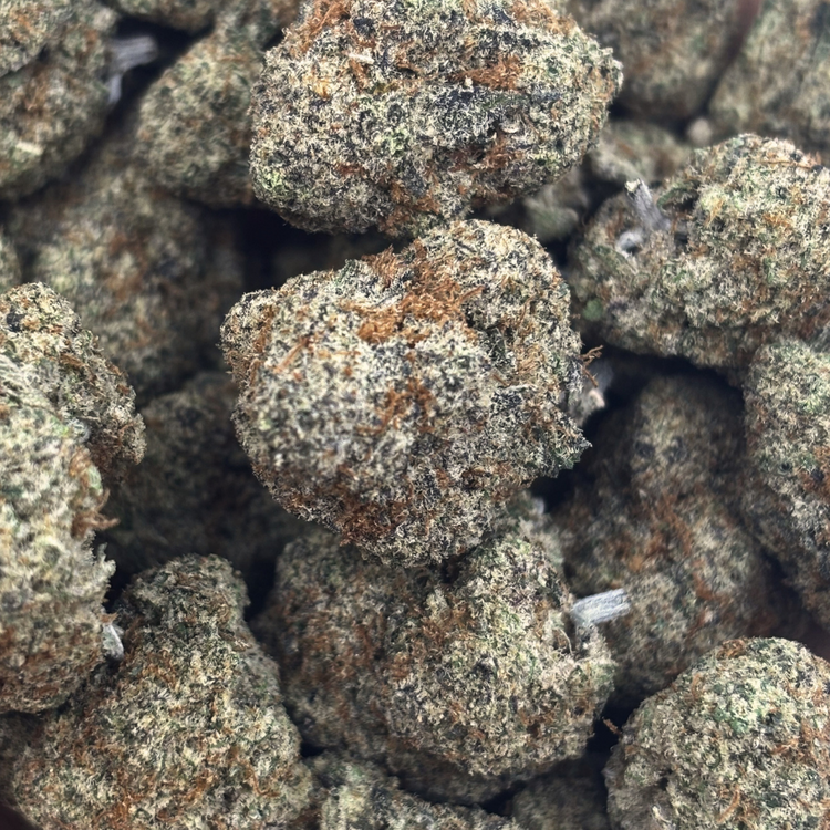 Double OG // OZSpecial