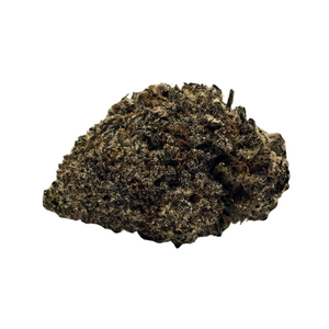 Blackberry // OZ Special