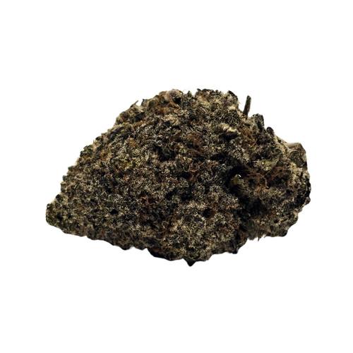 Blackberry // OZ Special