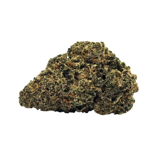 Jungle Mints // OZ Special