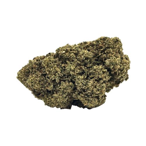 Galactic Runtz // OZ Special