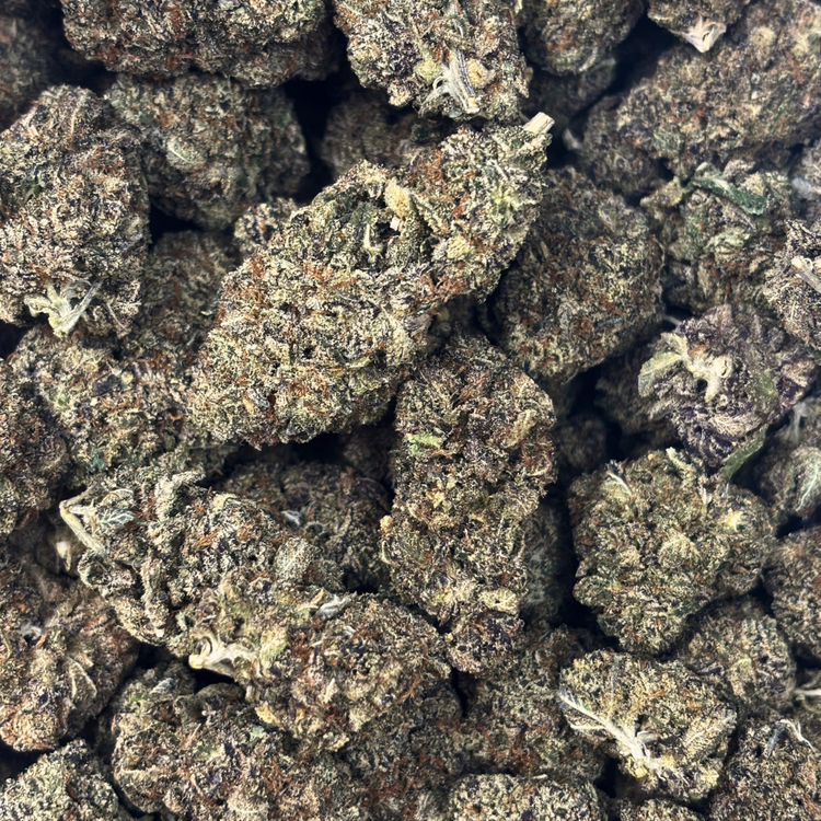 White Truffle