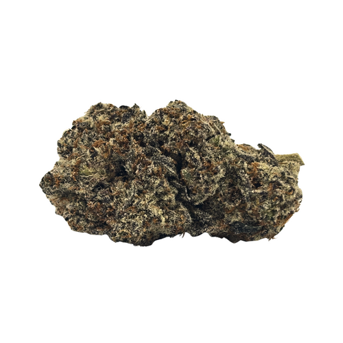 Biscotti // OZ Special