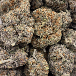 Afghani // OZ Special