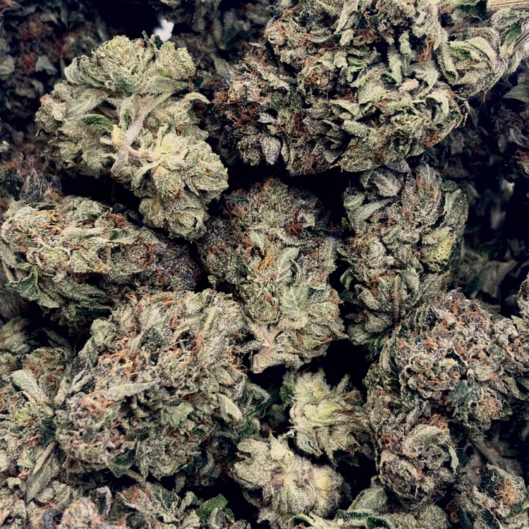 Tom Ford // OZ Special