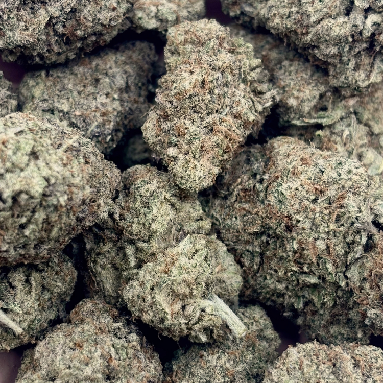MAC Stomper // OZ Special