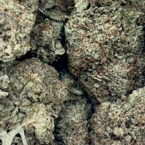 MAC Stomper // OZ Special