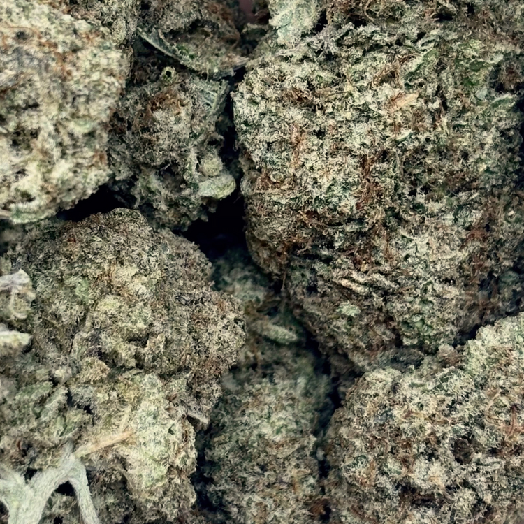 MAC Stomper // OZ Special