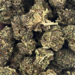 Jungle Mints — 7g // Clearance